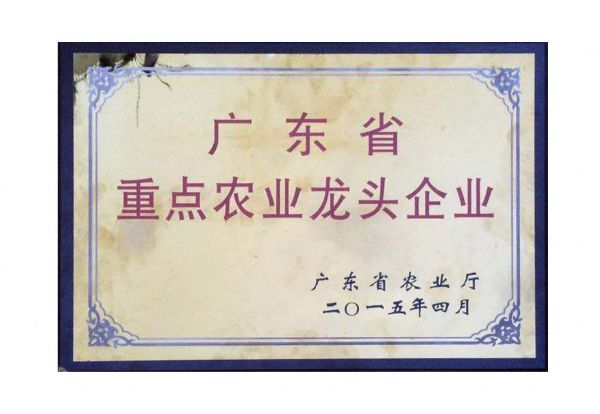 2015年广东省重点农业龙头企业