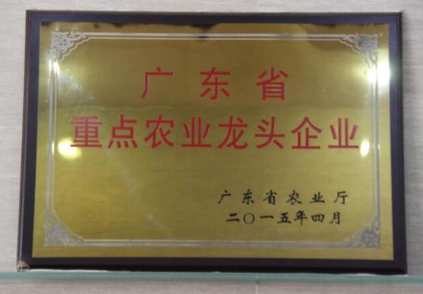 2015年广东省重点农业龙头企业